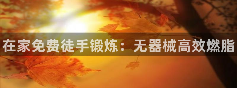 凯时平台怎么样:在家免费徒手锻炼:无器械高效燃脂