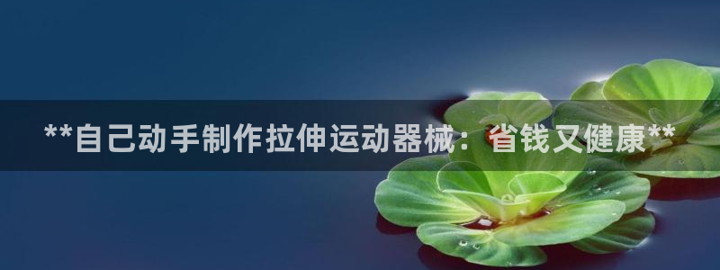 尊龙凯时-人生就是博中国官网最新:**自己动手制作拉伸运动器